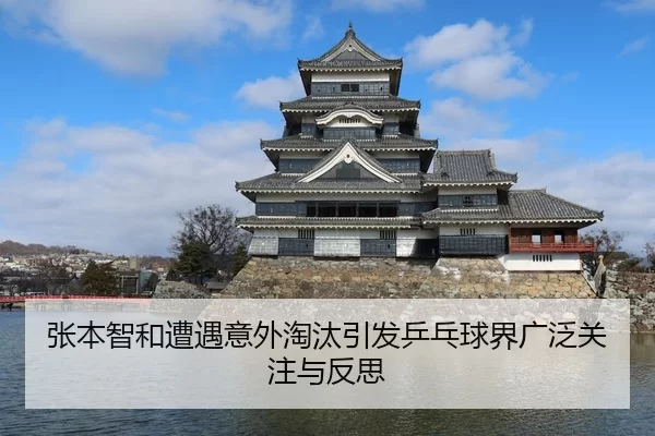 张本智和遭遇意外淘汰引发乒乓球界广泛关注与反思